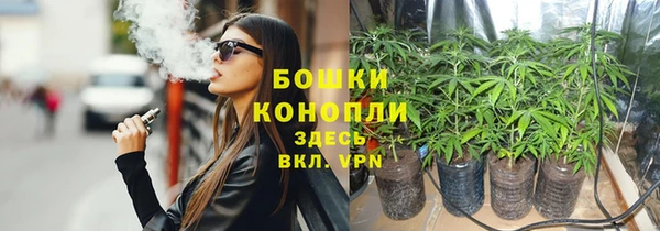 mdpv Горнозаводск