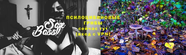 молекула духа Горняк
